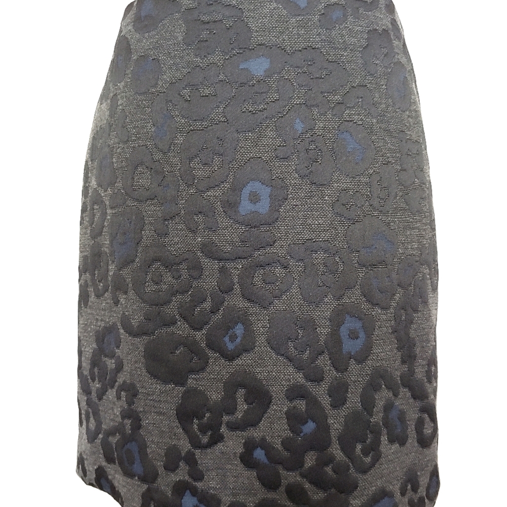 Ann Taylor Skirt